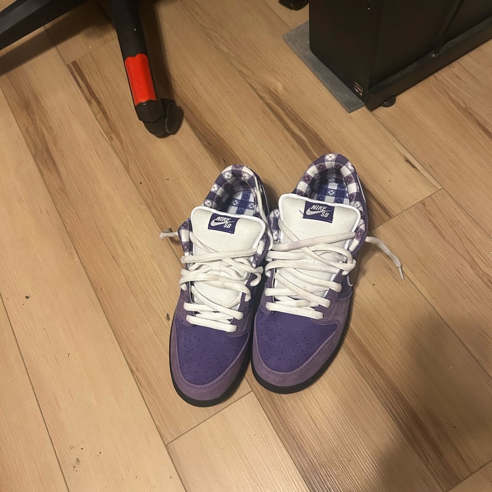 12 sb low dunk purple lobsters